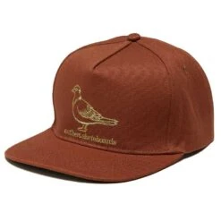 Cappellino Anti Hero ADJ Basic Pigeon Snapback Brown Khaki