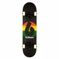 Skateboard Completo Birdhouse Stage 3 Sunset Rasta 7.75''