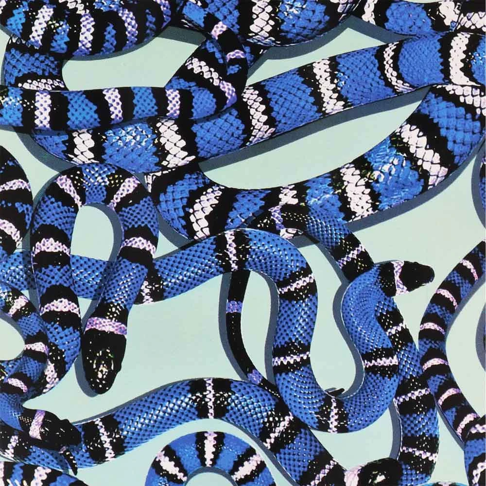 Skateboard Completo Pro Grizzly Snake Eyes 8.0'' 4 Skateboard Completo Pro Grizzly Snake Eyes 8.0'' - immagine 4