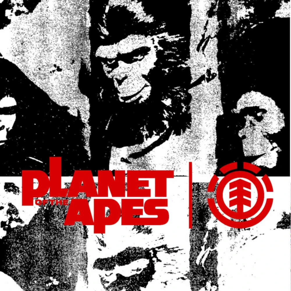 Tavola Da Skate Planet Of The Apes Element Pota Sovereign 8.25'' - immagine 3
