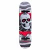 Skateboard Completo Powell Peralta Ripper One Off Silver 8.0''