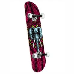 Skate Completo Powell Peralta Vallely Elephant Birch Pink 8.25'' 6 Skate Completo Powell Peralta Vallely Elephant Birch Pink 8.25'' -Negozio Di Pattini skateboard completo powell peralta vallely elephant birch pink 8 25 3