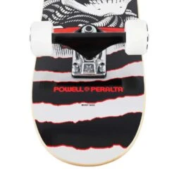 Skateboard Completo Powell Peralta Ripper Silver Red 7.0'' 9 Skateboard Completo Powell Peralta Ripper Silver Red 7.0'' -Negozio Di Pattini skateboards completo powell peralta ripper silver red 7 0 5