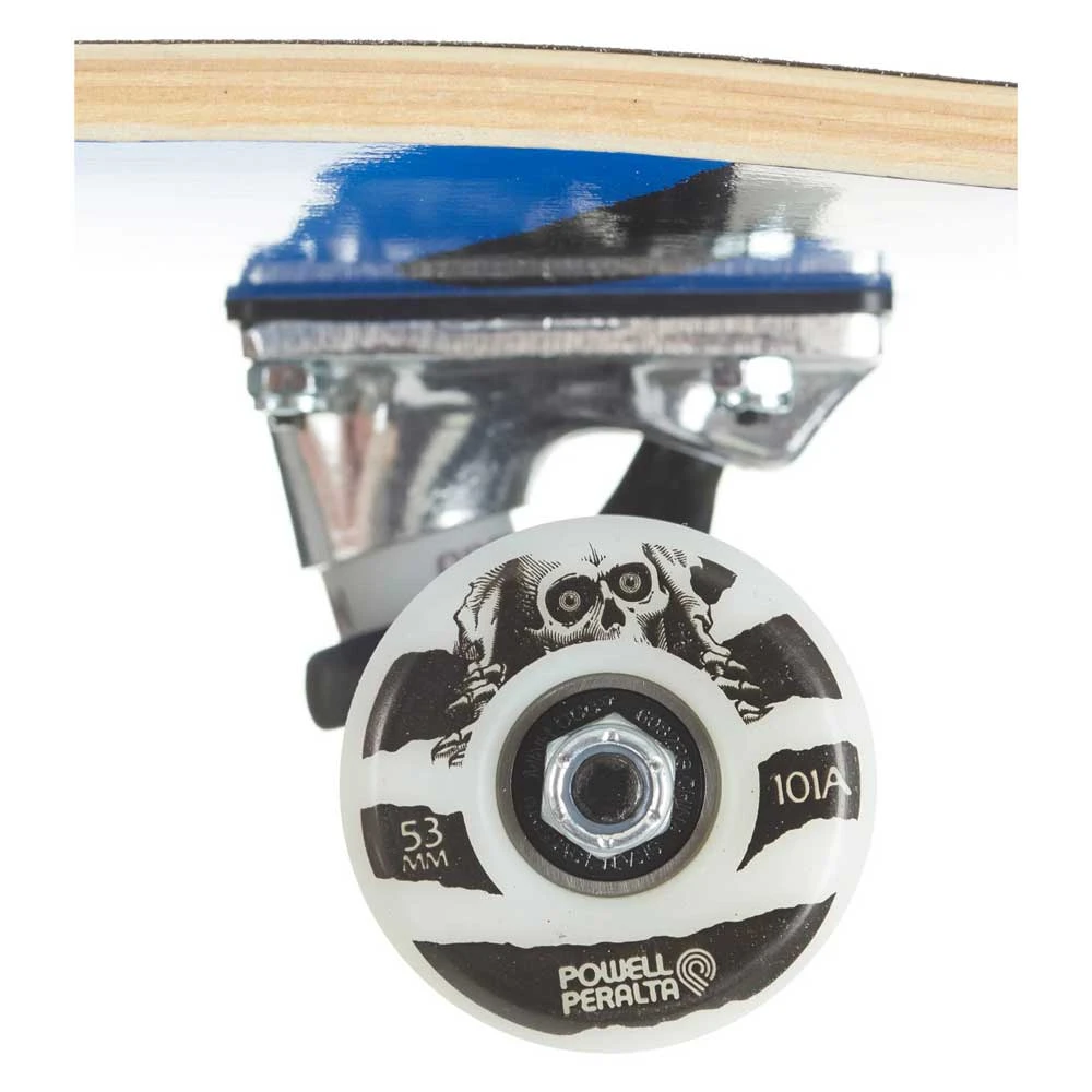 Skateboard Completo Powell Peralta Vato Rats Royal Blue 8.0'' 4 Skateboard Completo Powell Peralta Vato Rats Royal Blue 8.0'' - immagine 4